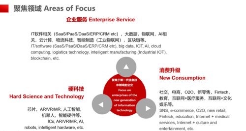 浦軟孵化器 打造泛信息技術領域的創(chuàng)新創(chuàng)業(yè)全產(chǎn)業(yè)鏈生態(tài)