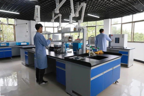 專業(yè)技術鑄就專業(yè)服務 信息技術咨詢服務