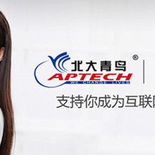 寧波市慈溪青鸞信息技術咨詢有限責任公司專業(yè)服務概覽