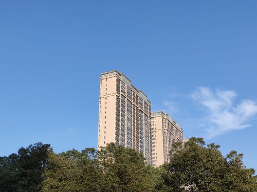 建筑學(xué)家提醒 一樓和頂樓不是最坑，這“三個(gè)樓層”才真正要想辦法避開(kāi)